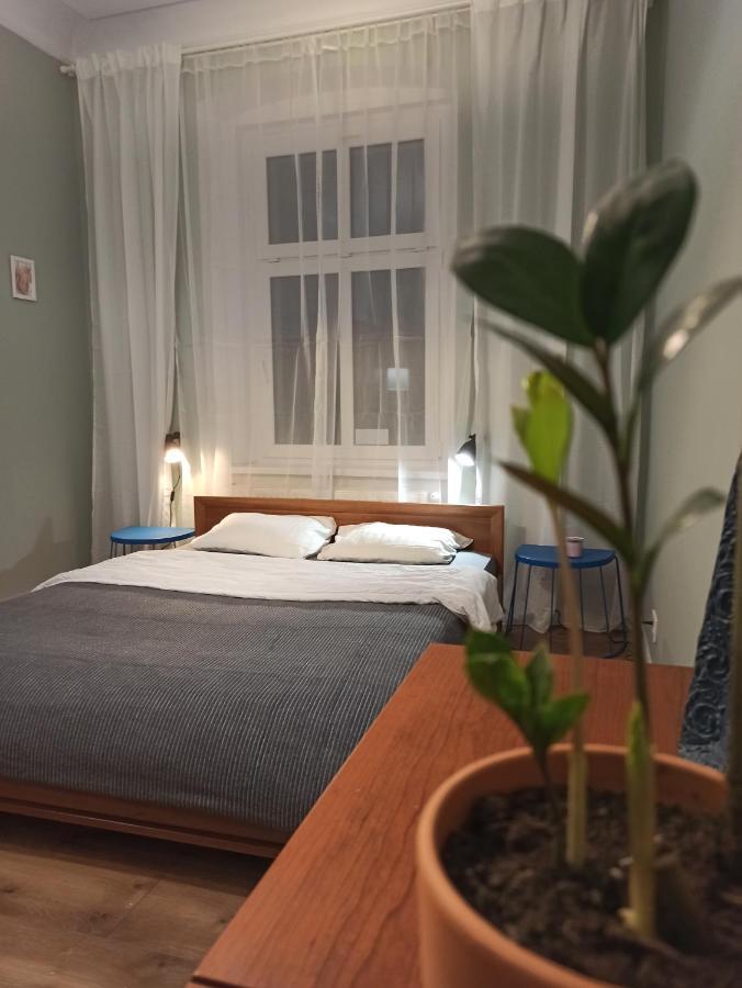 Apartament Rozeta Centrum 6Os 웨그니차 외부 사진