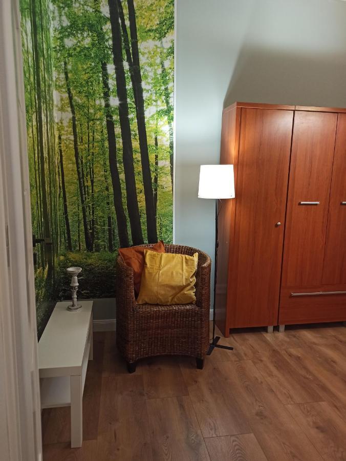 Apartament Rozeta Centrum 6Os 웨그니차 외부 사진