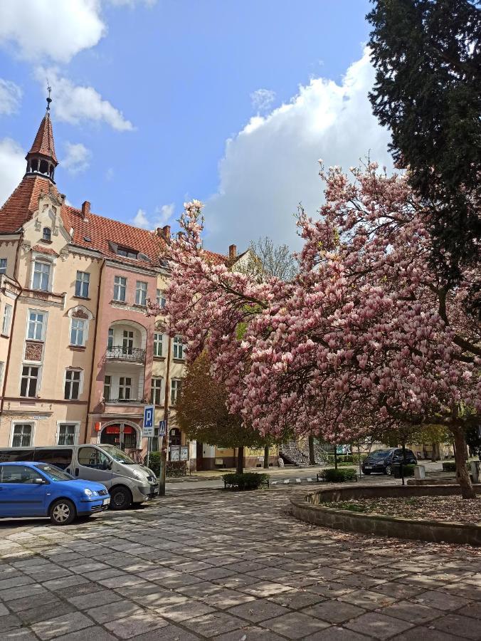 Apartament Rozeta Centrum 6Os 웨그니차 외부 사진