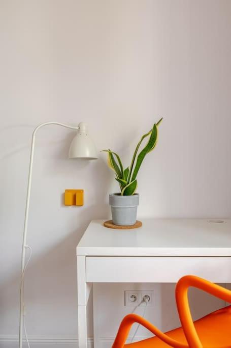 Apartament Rozeta Centrum 6Os 웨그니차 외부 사진