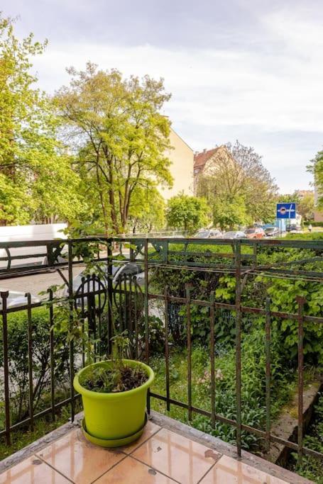 Apartament Rozeta Centrum 6Os 웨그니차 외부 사진