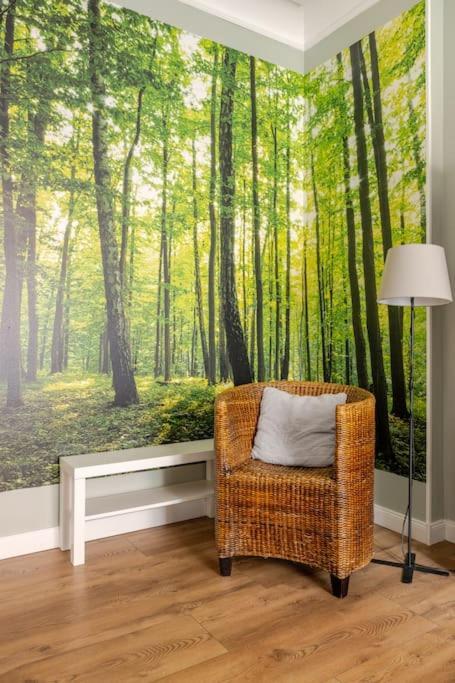 Apartament Rozeta Centrum 6Os 웨그니차 외부 사진